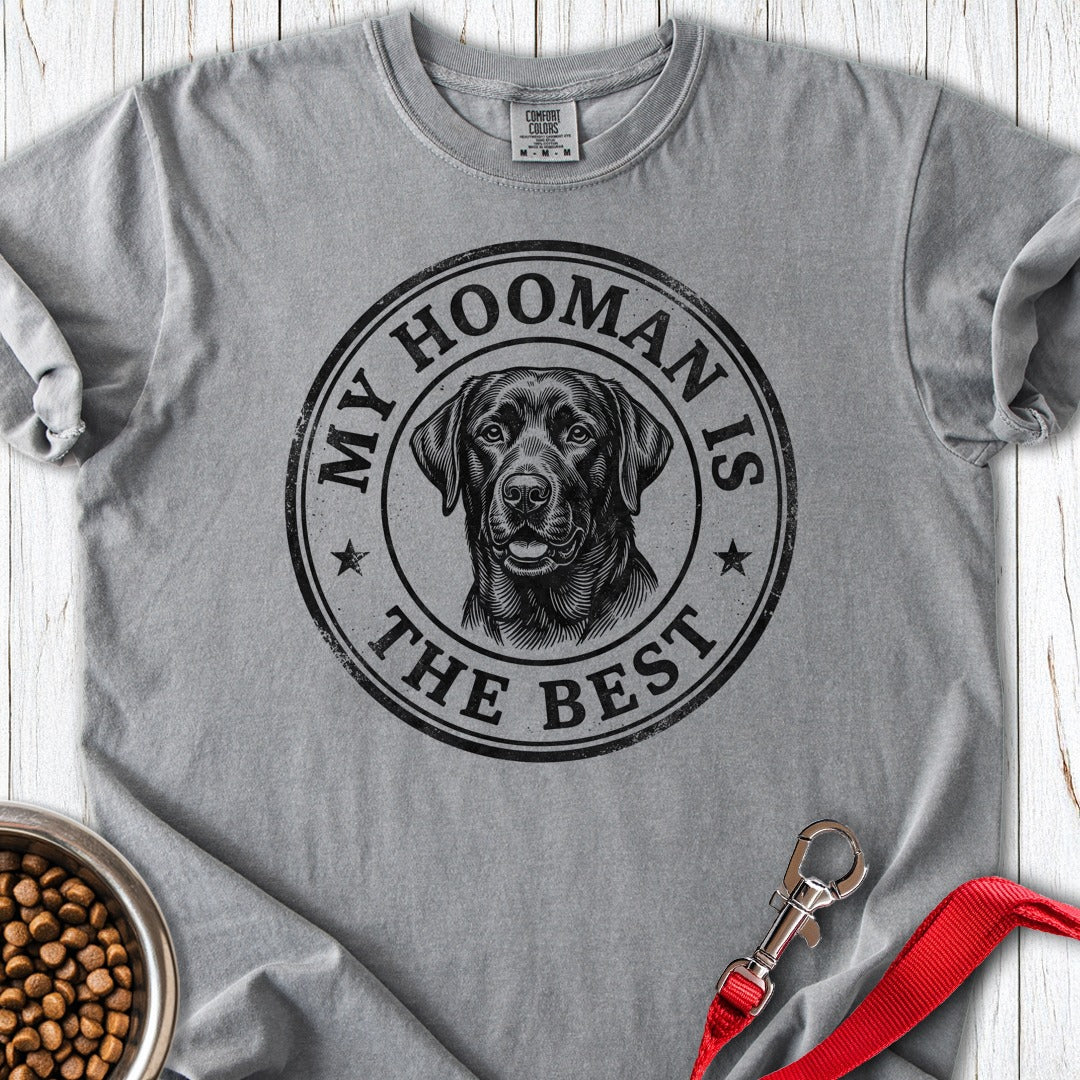 Best Hooman Black Lab Grey