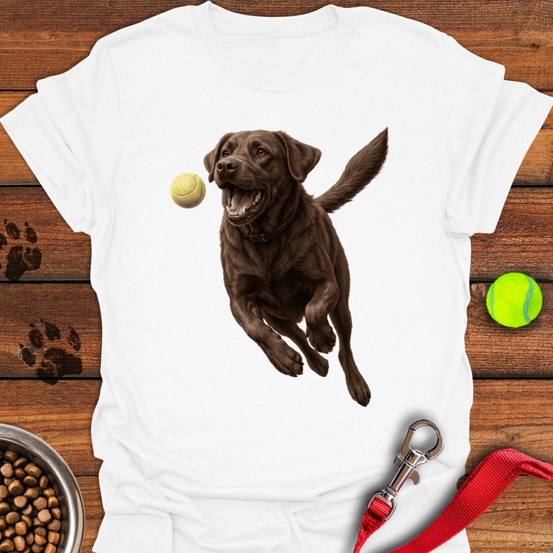 Chocolate Labrador Running White