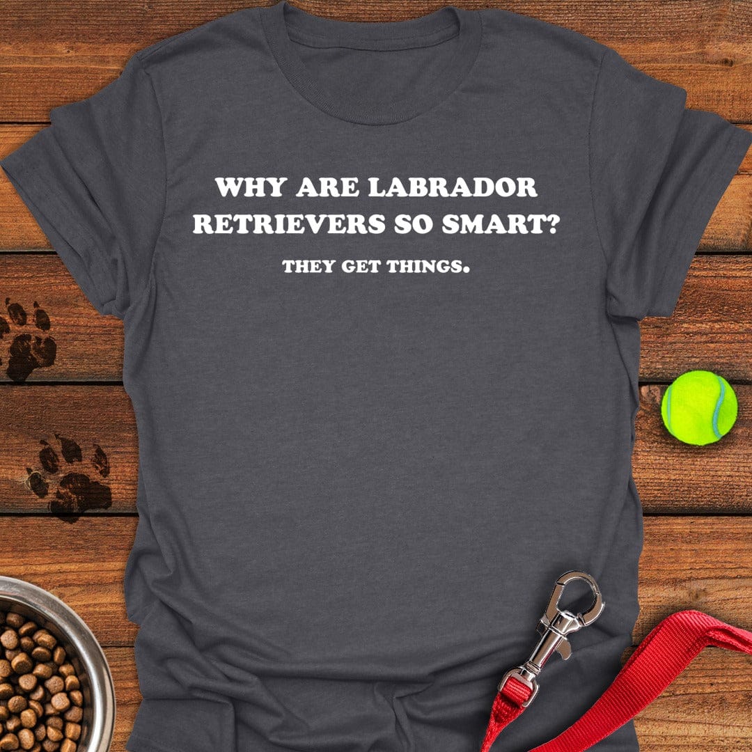 Smart Labradors Dark Heather